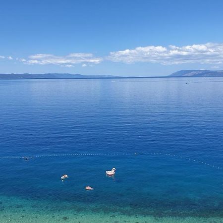 Apartmani Jereb Drasnice Εξωτερικό φωτογραφία